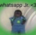 WhatsApp Junior.png